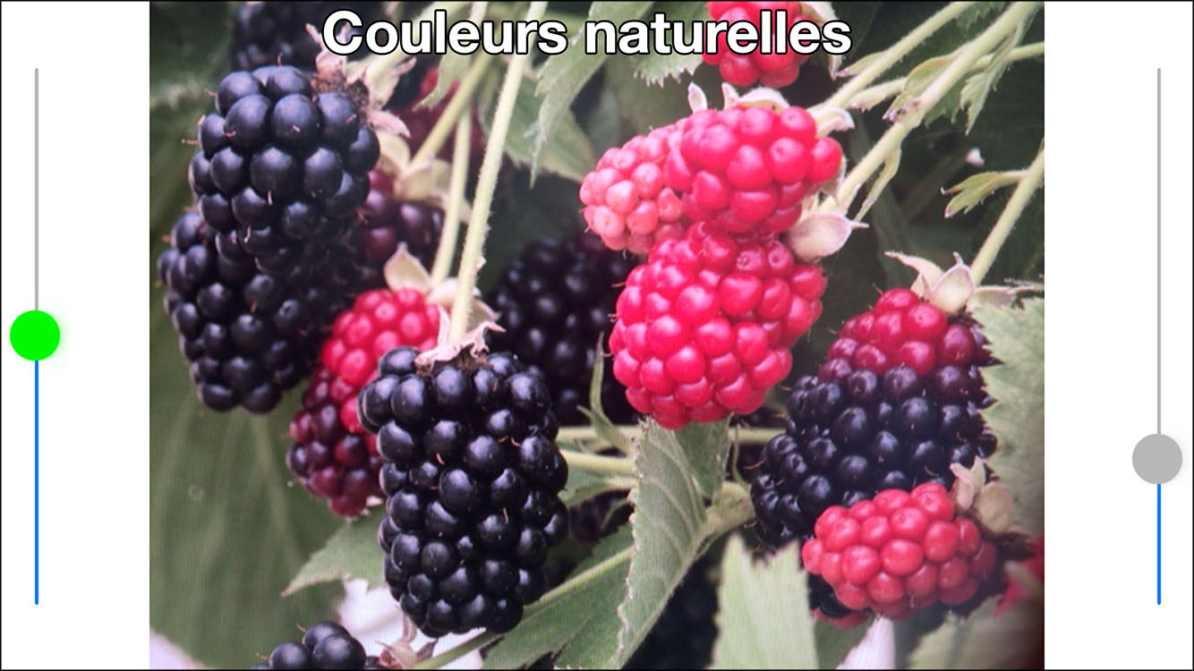 Aide daltonien - couleurs naturelles