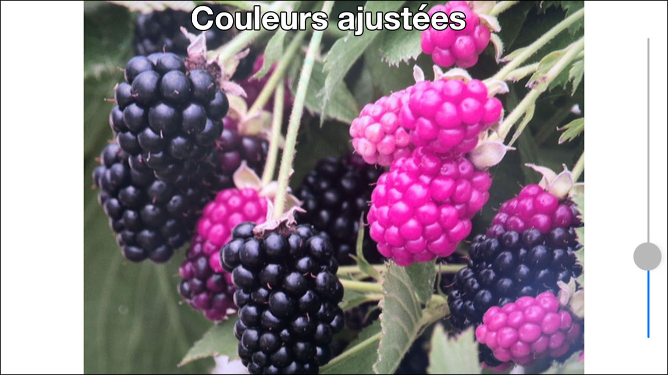 Aide daltonien - couleurs ajust&eacute;es